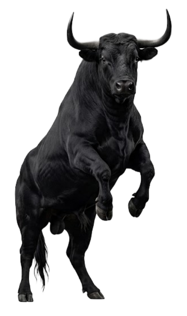 BULLOCK